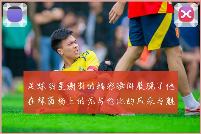 足球明星谢羽的精彩瞬间展现了他在绿茵场上的无与伦比的风采与魅力