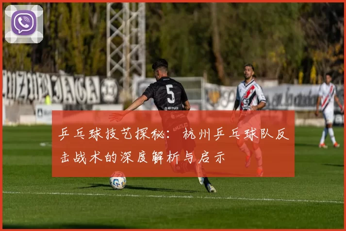 乒乓球技艺探秘：杭州乒乓球队反击战术的深度解析与启示