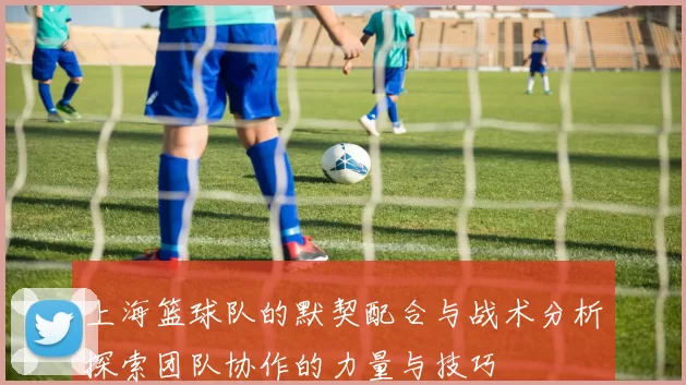 上海篮球队的默契配合与战术分析探索团队协作的力量与技巧