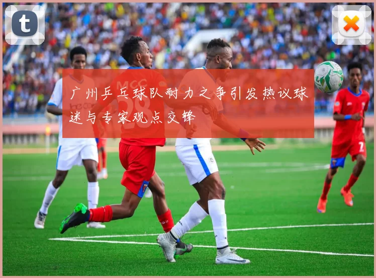 广州乒乓球队耐力之争引发热议球迷与专家观点交锋
