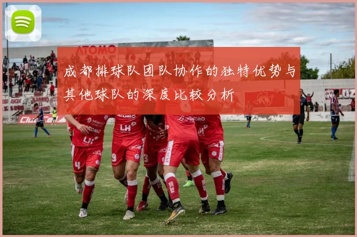 成都排球队团队协作的独特优势与其他球队的深度比较分析