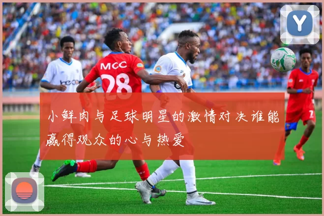 小鲜肉与足球明星的激情对决谁能赢得观众的心与热爱