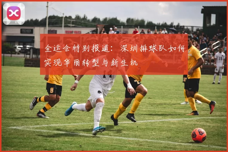 全运会特别报道：深圳排球队如何实现华丽转型与新生机