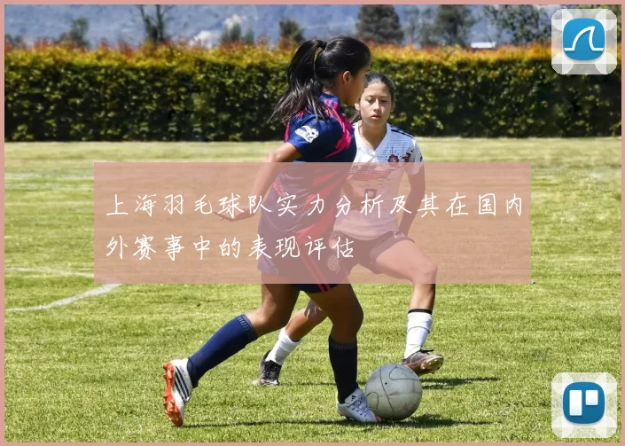 上海羽毛球队实力分析及其在国内外赛事中的表现评估