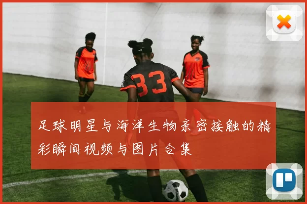 足球明星与海洋生物亲密接触的精彩瞬间视频与图片合集