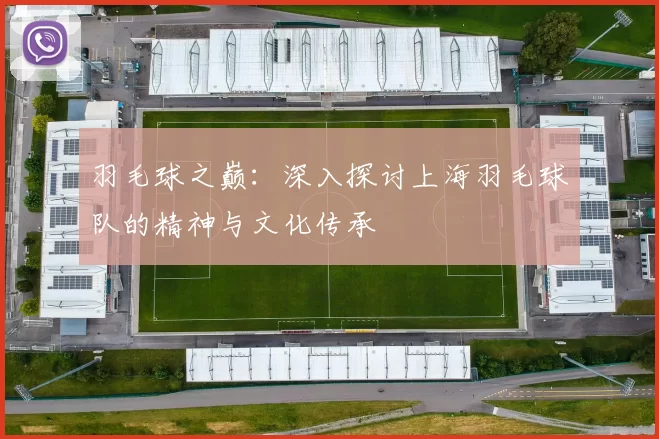羽毛球之巅：深入探讨上海羽毛球队的精神与文化传承