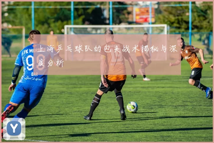 上海乒乓球队的包夹战术揭秘与深度分析