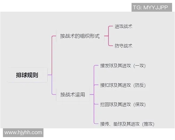 广州排球队防守策略解析：深度剖析排球战术与技术的完美结合