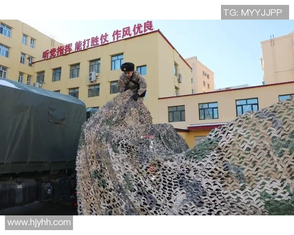 深圳飞盘队战术解析：从基础到进阶的全面剖析与实战应用