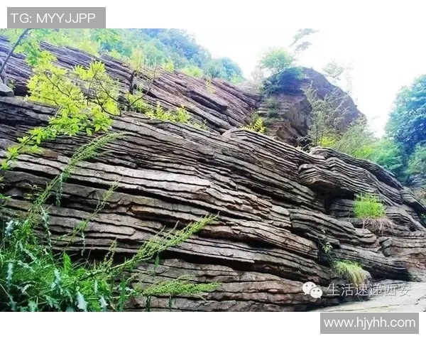 赵军独家分享攀岩技巧与心得体会助你提升攀岩水平与安全意识