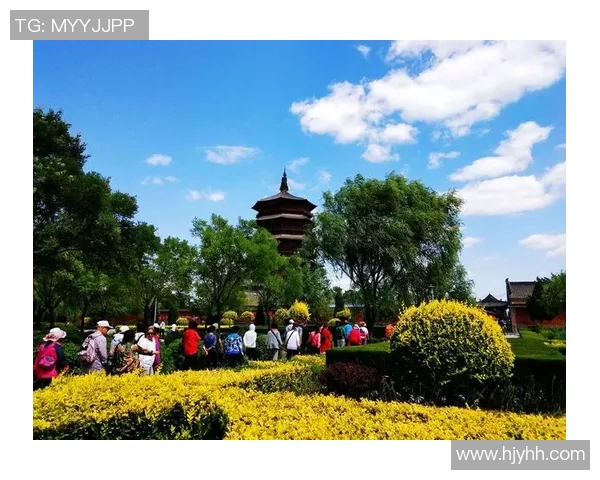 深圳极限运动队的挑战与突破：一段激情与坚持的纪实之旅